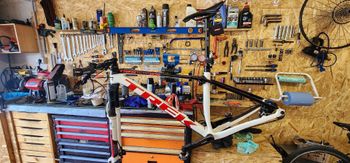 Used Trek Procaliber SRAM X01 Eagle AXS 2024 Mountainbike, Bianco — image 2 of 4