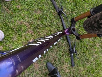 Brugt Canyon lux cfr Custom SRAM GX Eagle AXS 2025 Mountainbike — billede 8 af 23