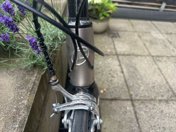 Used Principia Custom Campagnolo Centaur 2011 Road & Gravel, Light Gray — image 14 of 17