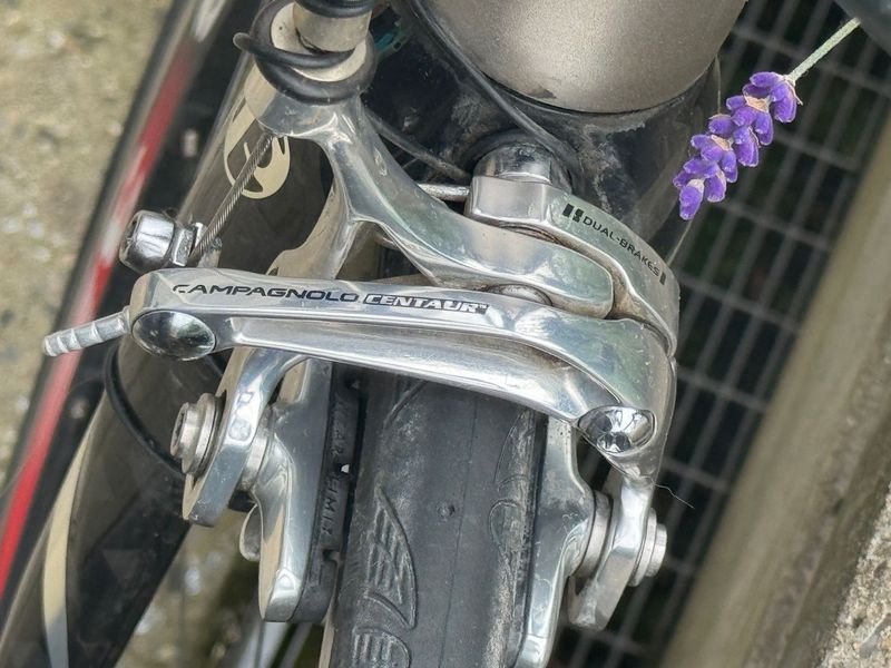 Used Principia Custom Campagnolo Centaur 2011 Road & Gravel, Light Gray — image 8 of 17