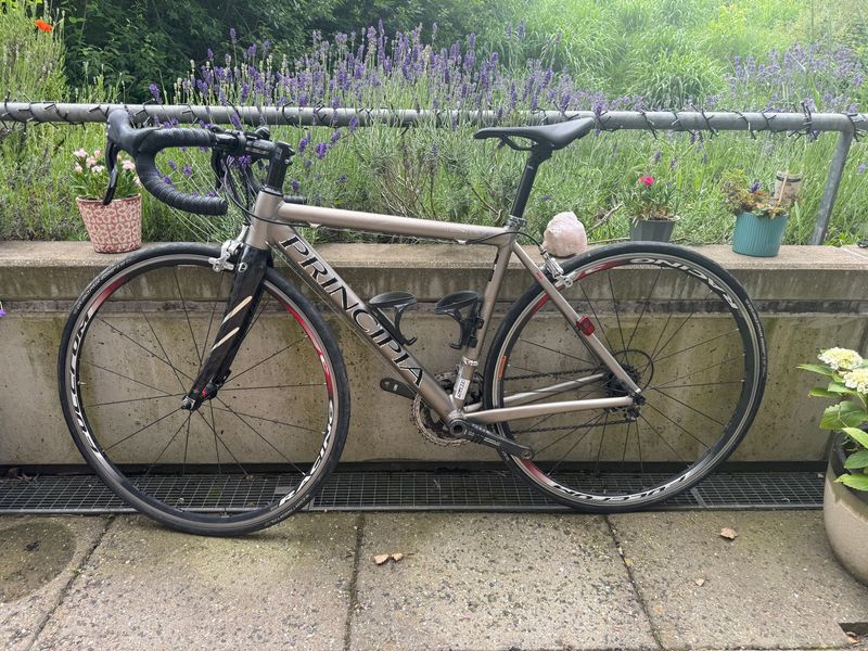Used Principia Custom Campagnolo Centaur 2011 Road & Gravel, Light Gray — image 2 of 17
