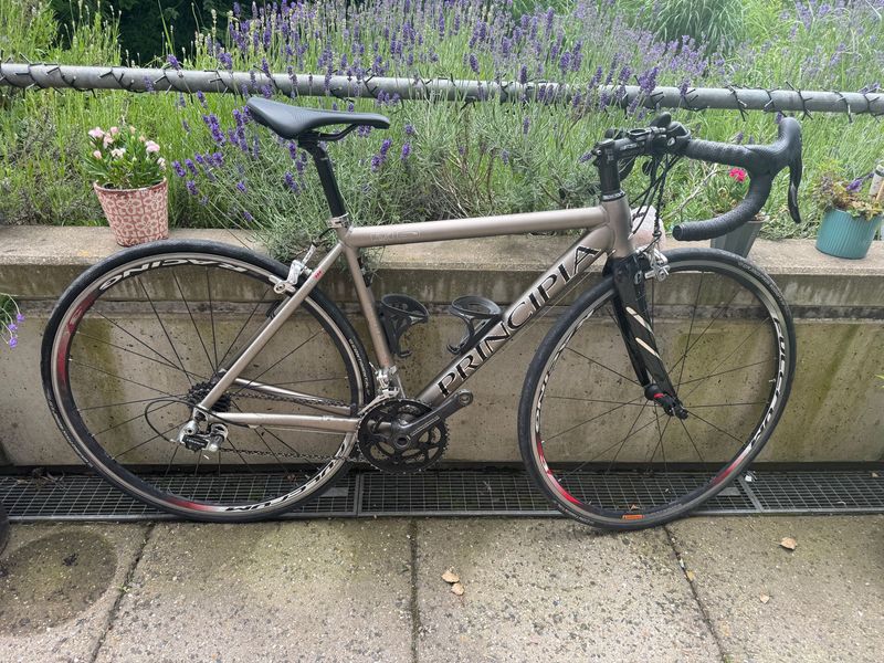 Used Principia Custom Campagnolo Centaur 2011 Road & Gravel, Light Gray — image 1 of 17