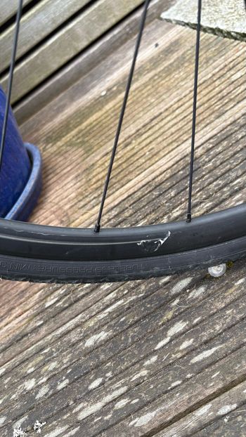 Used Specialized CruX E5 Sport 2019 2019 Road & Gravel, Grigio chiaro — image 13 of 14