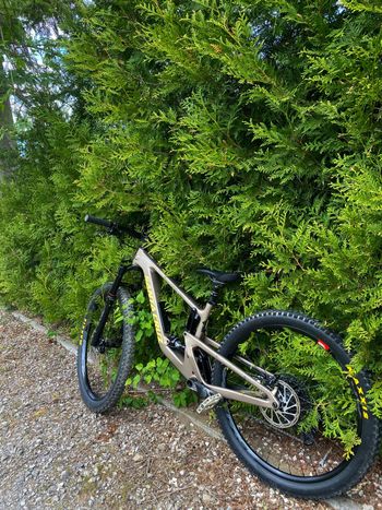 Used Santa Cruz 5010 R / Carbon C 2023 2023 Mountainbike — image 5 of 8