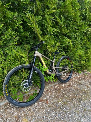 Used Santa Cruz 5010 R / Carbon C 2023 2023 Mountainbike — image 4 of 8