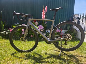 Used Scott Addict SRAM Force eTap AXS 2026 Road & Gravel — image 2 of 6