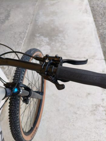 Used Lee Cougan Lee Cougan Rampage 2023 Mountainbike, Light Gray — image 16 of 17