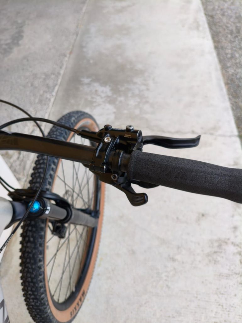 Used Lee Cougan Lee Cougan Rampage 2023 Mountainbike, Light Gray — image 16 of 17