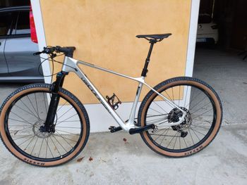Used Lee Cougan Lee Cougan Rampage 2023 Mountainbike, Light Gray — image 8 of 17