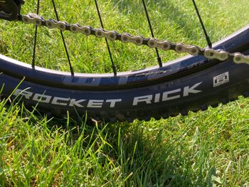 Used Cannondale Trail 3 2019 2019 Mountainbike, Verde — image 12 of 15