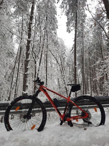 Used Bianchi Nitron 9.4 – NX/SX Eagle 2021 2021 Mountainbike, Rosso — image 2 of 4