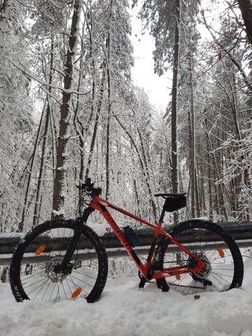 Gebrauchtes Bianchi Nitron 9.4 – NX/SX Eagle 2021 2021 Mountainbike, Rot, 29 — Bild 2 von 4