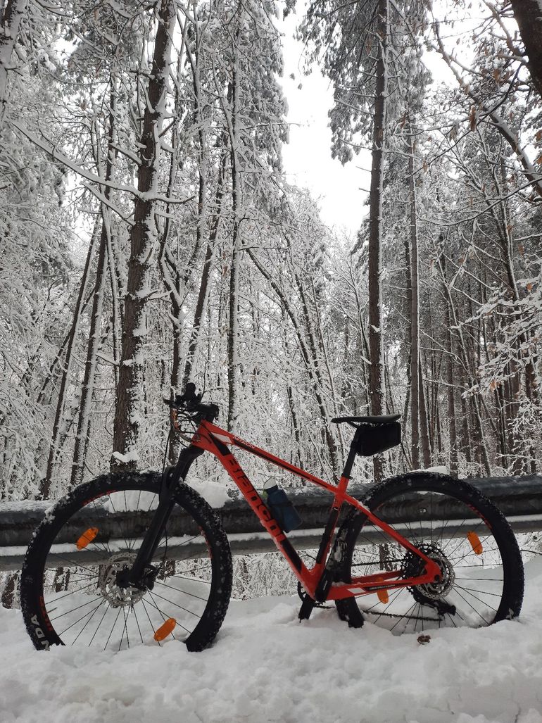Used Bianchi Nitron 9.4 – NX/SX Eagle 2021 2021 Mountainbike, Rosso — image 2 of 4