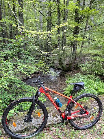 Gebrauchtes Bianchi Nitron 9.4 – NX/SX Eagle 2021 2021 Mountainbike, Rot, 29 — Bild 4 von 4