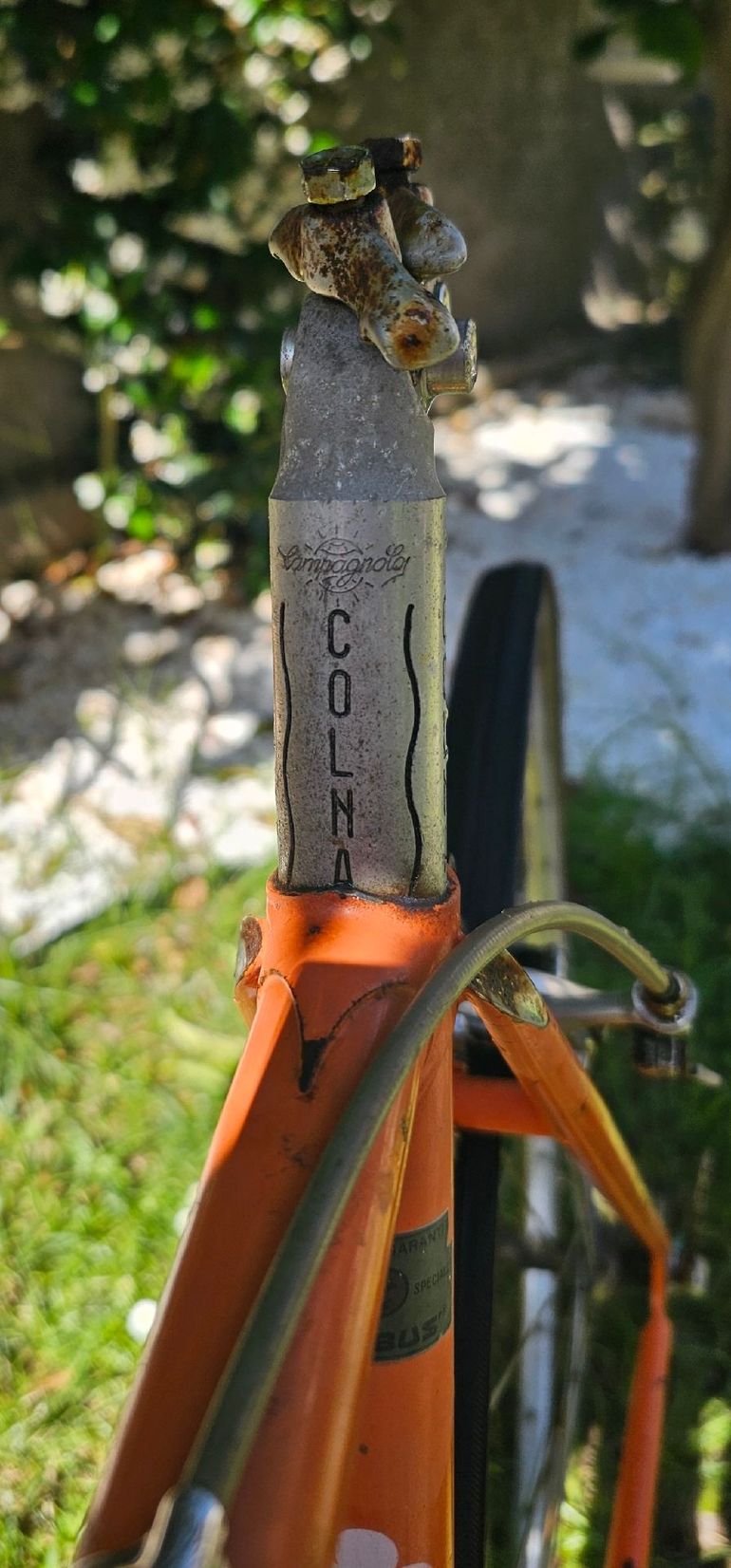 Used Colnago Colnago Custom Campagnolo Super Record 1974 Road & Gravel — image 10 of 10