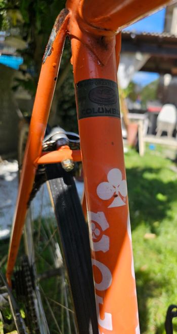Used Colnago Colnago Custom Campagnolo Super Record 1974 Road & Gravel — image 8 of 10