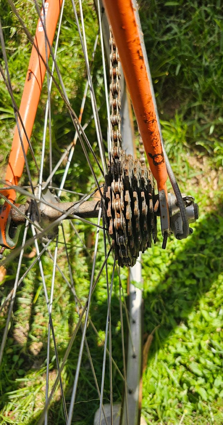 Used Colnago Colnago Custom Campagnolo Super Record 1974 Road & Gravel — image 2 of 10