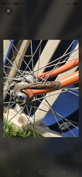 Used Colnago Colnago Custom Campagnolo Super Record 1974 Road & Gravel — image 6 of 10
