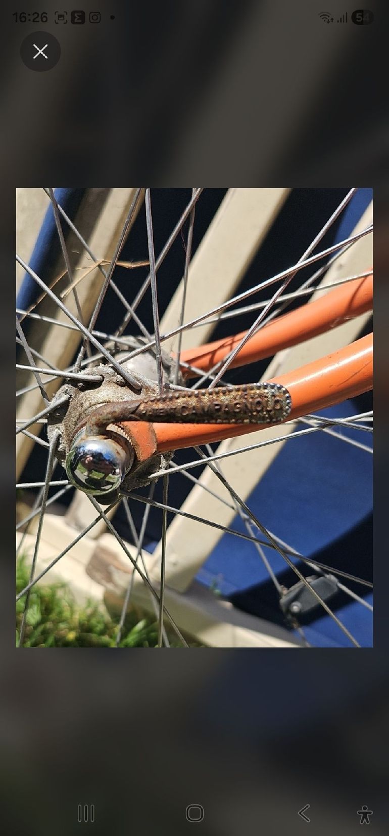 Used Colnago Colnago Custom Campagnolo Super Record 1974 Road & Gravel — image 6 of 10