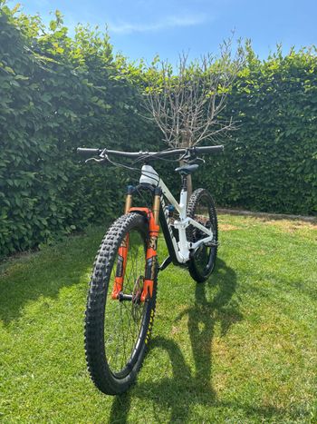 Used Canyon Spectral WMN CF 7.0 2020 2020 Mountainbike, White, 27.5 — image 2 of 7