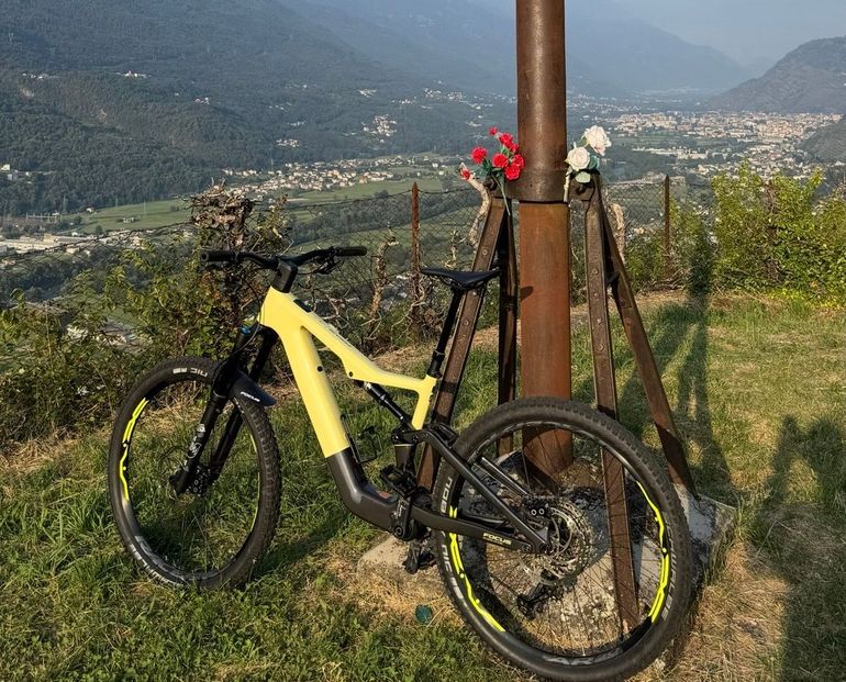 Used Focus VAM² SL 9.8 2024 2024 Mountainbike — image 2 of 3