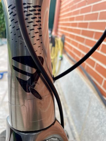Used Berria BELADOR AERO DISC 9 2020 Frameset 2020 Road & Gravel — image 11 of 12