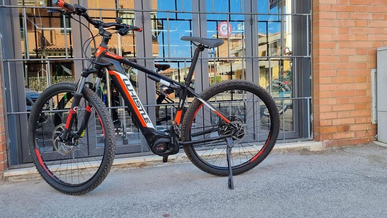 Used Whistle Whistle Custom SRAM SX Eagle 2021 Mountainbike — image 2 of 6