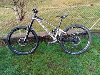 Used Mondraker Superfoxy R 2021 2021 Mountainbike, Light Gray, 29 — image 4 of 6
