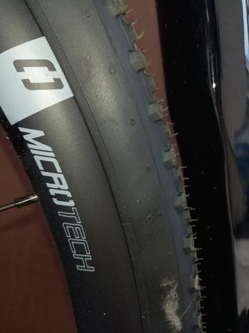 Used Basso Palta II - Neu - Gr. M - Mech. 1 X 12 Shimano GRX 610 2026 Road & Gravel, Blu — image 9 of 10