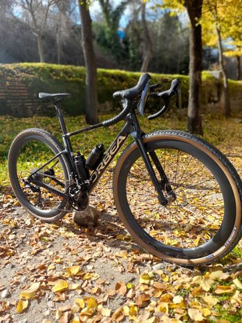 Used Orbea TERRA RACE M20LTD 2026 2026 Road & Gravel — image 10 of 11