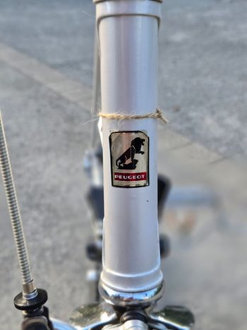 Used Peugeot Peugeot PV10 Reynolds 531 Simplex Vintage Rennrad 1982 Road & Gravel, White — image 3 of 12