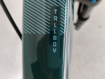 Used Santa Cruz Tallboy R / Aluminum / 29 2019 2019 Mountainbike, Green, 29 — image 6 of 12