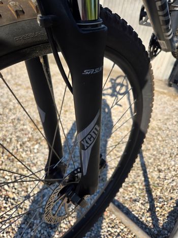 Used Specialized Rockhopper Sport 29 2022 2022 Mountainbike — image 2 of 9