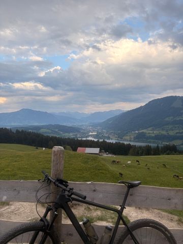 Tweedehands CUBE REACTION C:62 ONE 2022 2022 Mountainbike — afbeelding 6 van 8