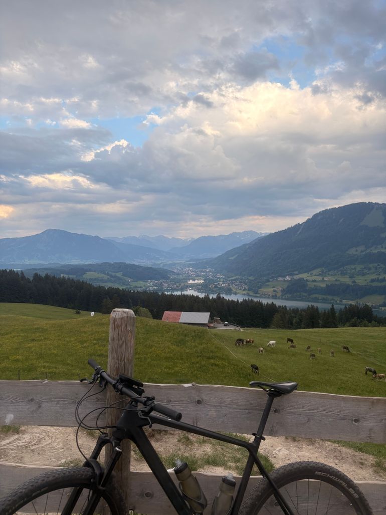 Used CUBE REACTION C:62 ONE 2022 2022 Mountainbike, Nero — image 6 of 6