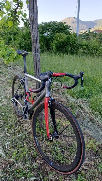 Used nevi Stelvio LA1 2016 Road & Gravel — image 15 of 16