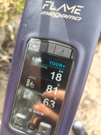 Used Megamo FLAME CRB 03 2026 2026 Mountainbike, Blue — image 8 of 9