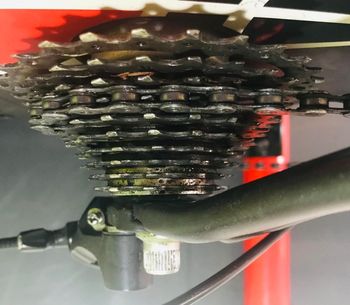 Used Specialized Tarmac Shimano 105 2008 Road & Gravel, Weiß — image 6 of 22