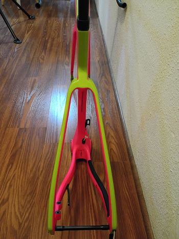 Used Elves Falath Frameset 2025 Road & Gravel, Green — image 4 of 10