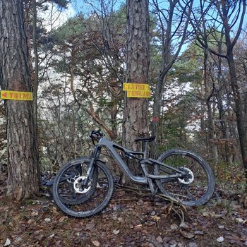 Used Focus JAM² SL 9.9 2023 2023 Mountainbike — image 3 of 4