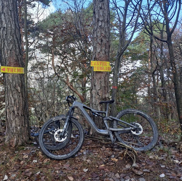 Used Focus JAM² SL 9.9 2023 2023 Mountainbike — image 3 of 4