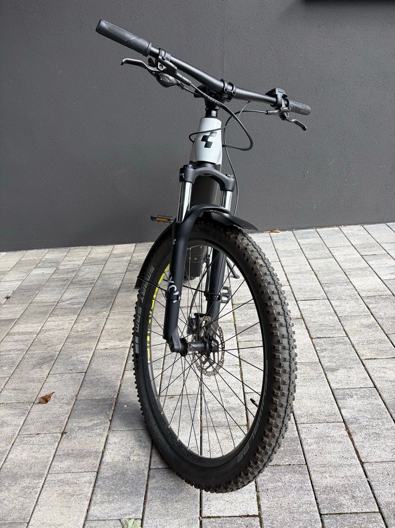 Used CUBE Reaction SRAM SX Eagle 2020 Mountainbike — image 3 of 24