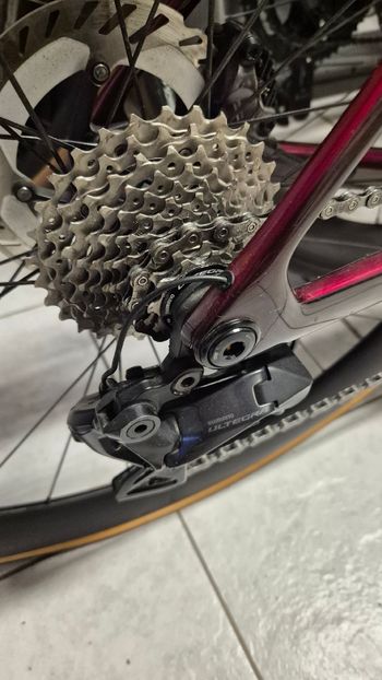 Used Trek Madone SLR 7 Gen 8 2025 2025 Road & Gravel, Red — image 10 of 11