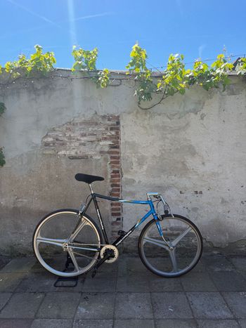 Used Koga Miyata Shimano Dura Ace 1990 Road & Gravel