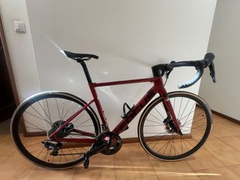Used Focus IZALCO MAX DISC 8.8 2021 2021 Road & Gravel