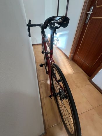 Used Focus IZALCO MAX DISC 8.8 2021 2021 Road & Gravel, Rot — image 5 of 6
