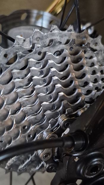Used Giant Defy, Advanced 1 2021 2021 Road & Gravel — image 11 of 11