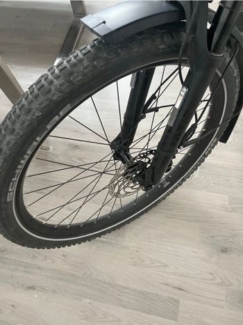 Used Riese & Müller Riese Und Müller Superdelite GT Rohloff 2024 Urban, Gris claro — image 18 of 23