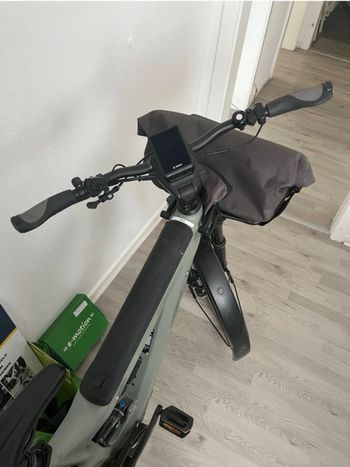 Used Riese & Müller Riese Und Müller Superdelite GT Rohloff 2024 Urban, Gris claro — image 14 of 23