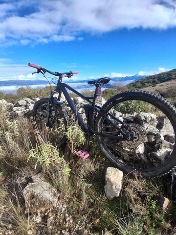 Brugt CUBE STEREO ONE22 RACE 2024 2024 Mountainbike — billede 7 af 7